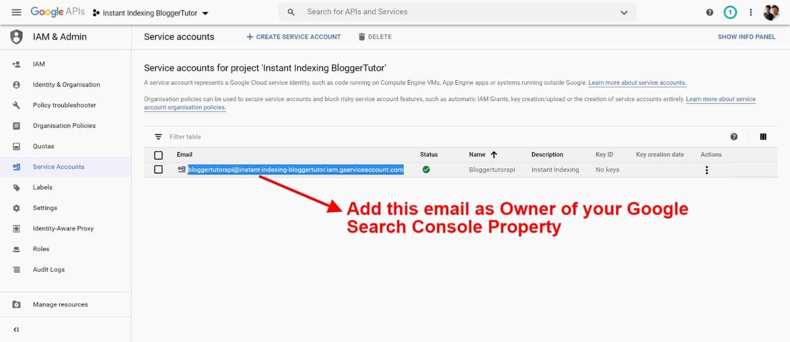 Rank Math Instant Indexing: How to Index Your Posts Faster in 2026 Service account email address shown in Google Cloud IAM and Admin