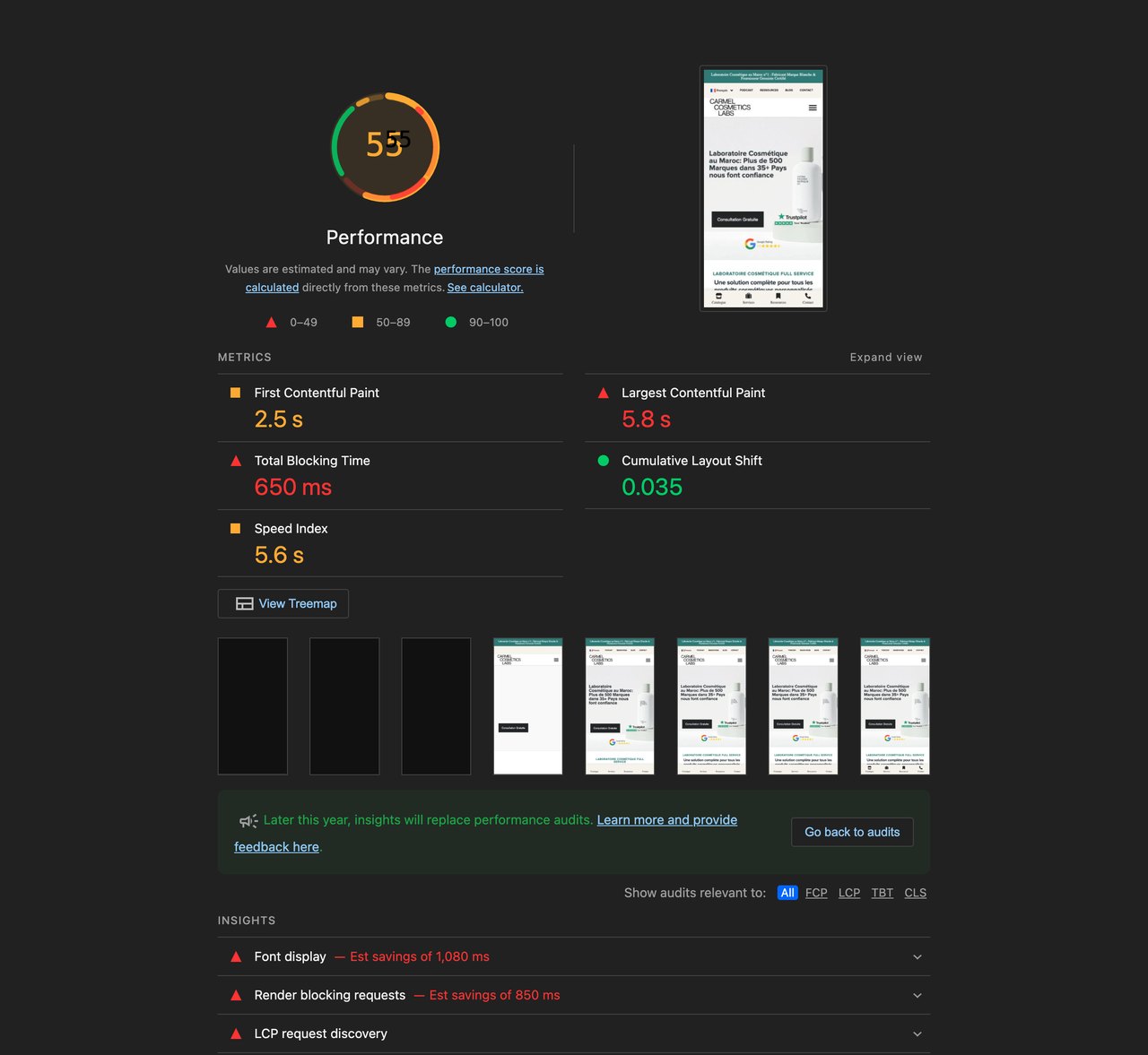 Lighthouse mobile report after tuning xSpeed Cache showing a score of 55