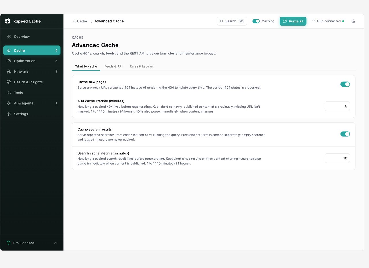 xSpeed Cache advanced cache options for 404 pages, search results, REST API and feeds