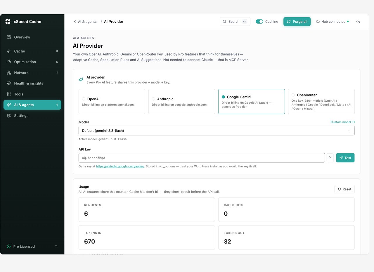xSpeed Cache AI provider settings for OpenAI, Anthropic, Gemini and OpenRouter