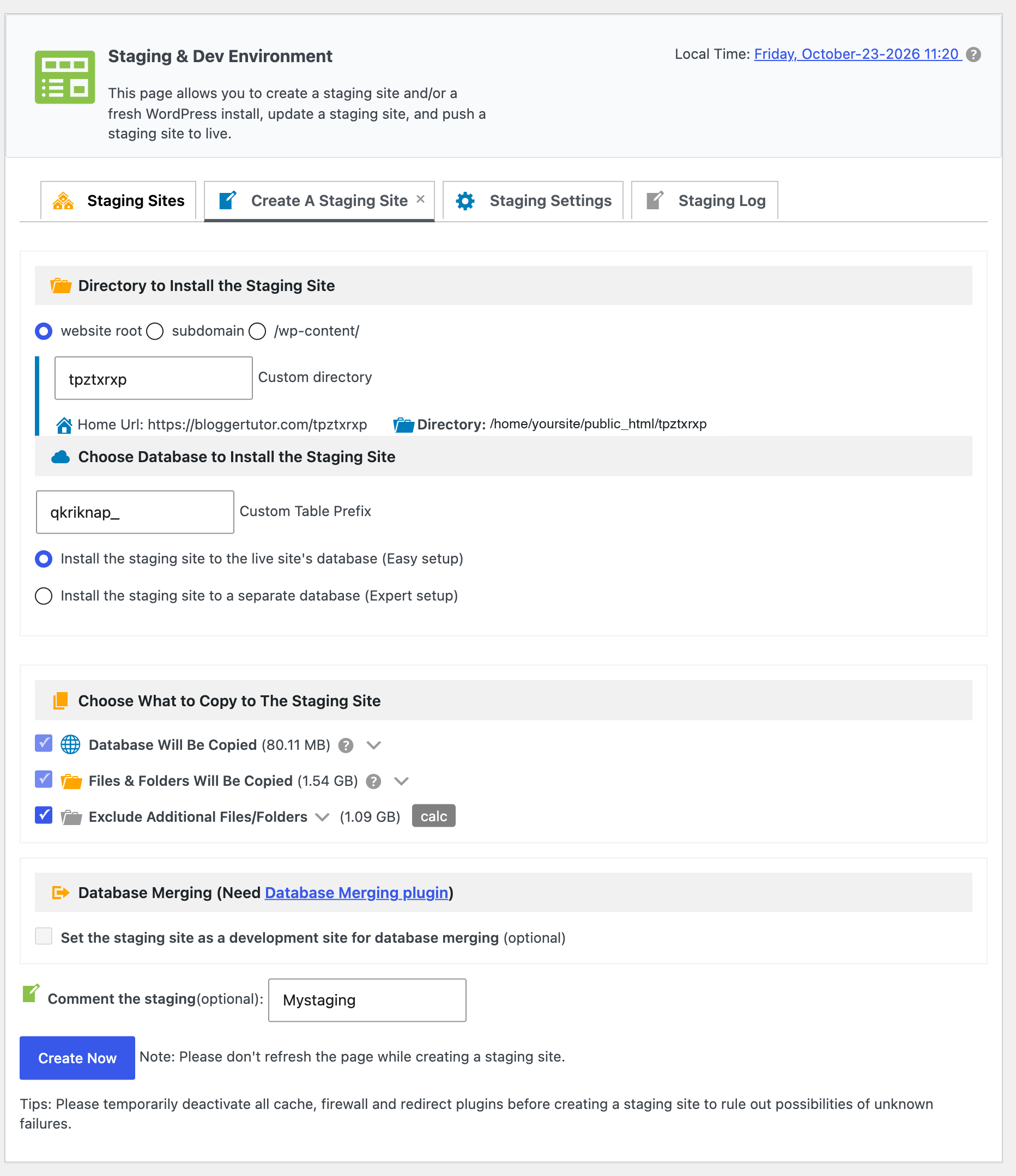 Creating a WPvivid staging site with directory, database and copy options